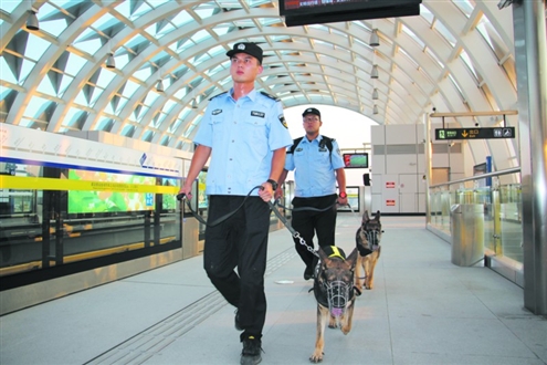 在青岛人流量大的地铁站，上下班高峰时段总会有民警带着警犬巡逻执勤（警方供图）